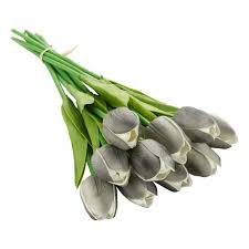 Dark Gray Tulip Flower Seeds for Planting - Heirloom, Non-GMO, High Germination Organic Garden Seeds