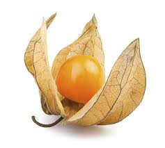 Ground Cherries Vegetable Seeds for Planting – Heirloom, Non-GMO, Organic Garden Seeds with Sweet Snacking Fruits