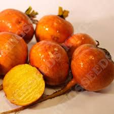 Beet Boldor Vegetable Seeds for Planting – Heirloom, Non-GMO, Organic Garden Seeds for Golden Beets