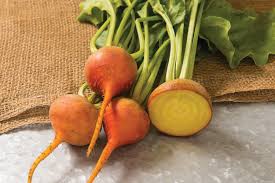 Beet Boldor Vegetable Seeds for Planting – Heirloom, Non-GMO, Organic Garden Seeds for Golden Beets