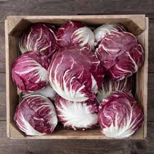Radicchio Vegetable Seeds for Planting – Heirloom, Non-GMO, Organic Garden Seeds for Bold, Crisp Leafy Greens