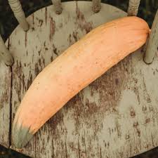 Candy Roaster Vegetable Seeds for Planting – Heirloom, Non-GMO, High Germination Organic Garden Seeds
