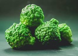 Bergamot Vegetable Seeds for Planting – Heirloom Non-GMO Organic Garden Seeds – Citrus-Scented Herb, High Germination