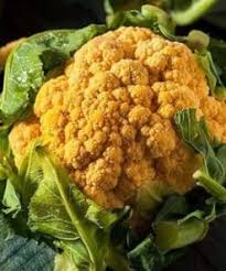 Orange Cauliflower Vegetable Seeds for Planting – Heirloom Non-GMO Organic Garden Seeds – Nutritious Bright Heads, High Germination