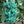 Black Strongylodon Macrobotrys Flower Seeds - Long Bloom Season, Heirloom, Non-GMO Organic Garden Seeds for Planting