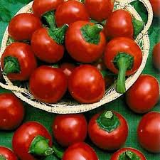Ciliegia Picante Pepper Seeds for Planting – Heirloom Non-GMO Spicy Small Peppers – Organic Garden Seeds