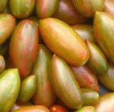 Lucky Tiger Asian Tomato Seeds for Planting – Heirloom Non-GMO Striped Cherry Variety – Organic Garden Seeds