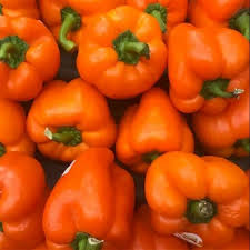 Orange Bell Pepper Seeds for Planting – Heirloom Non-GMO Sweet &amp; Colorful Variety – Organic Garden Seeds