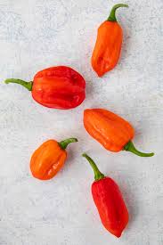 Aji Pepper Seeds for Planting – Heirloom Non-GMO Tangy Spice Variety – Organic Garden Seeds for Bold Flavor