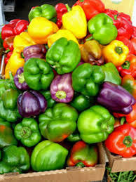 Heirloom Sweet Pepper Seeds for Planting – Non-GMO Flavorful Fruits – Organic Garden Seeds for Home Gardeners