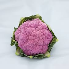 Pink Cauliflower Seeds for Planting – Heirloom, Non-GMO, Vibrant Color Organic Garden Seeds with High Germination