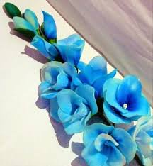 Sky Blue Fuchsia Hybrida Flower Seeds – Easy to Grow, Heirloom, Non-GMO & High Germination Organic Garden Seeds