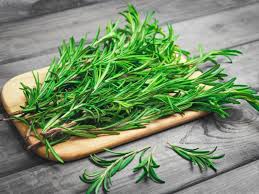 Rosemary Vegetable Seeds for Planting – Heirloom, Non-GMO, Organic Garden Seeds, High Germination, Culinary Herb