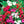 Balsam Camellia Flower Seeds for Planting - Heirloom, Non-GMO, High Germination Organic Garden Seeds