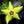Yellow Stapelia Flower Seeds for Planting – Heirloom, Non-GMO, Hardy Variety, Organic Garden Seeds with High Germination