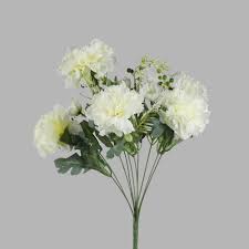 White Carnations Flower Seeds for Planting – Heirloom, Non-GMO, Perfect for Borders, Organic Garden Seeds, High Germination