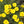 Yellow Eschscholtzia Flower Seeds for Planting – Heirloom, Non-GMO, Low Maintenance, High Germination Seeds