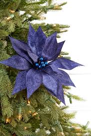 Deep Blue Poinsettia Flower Seeds for Planting – Heirloom, Non-GMO, Long Bloom Season, High Germination