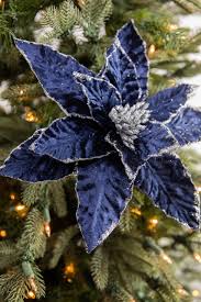 Deep Blue Poinsettia Flower Seeds for Planting – Heirloom, Non-GMO, Long Bloom Season, High Germination