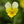 Yellow White Pansy Flower Seeds for Planting – Heirloom, Non-GMO, High Germination Organic Garden Seeds