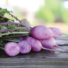 Radish Seeds for Planting – Purple Heirloom, Non-GMO, High Germination Organic Garden Seeds for Nutrient-Rich Roots