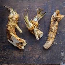 Horseradish Seeds for Planting – Heirloom, Non-GMO, High Germination Organic Root Seeds for Culinary Use