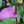 Anthurium Andraeanum Seeds | Heirloom Non-GMO Flower Seeds for Planting