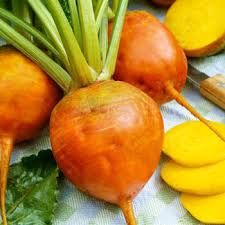 Radish Seeds for Planting Orange – Heirloom, Non-GMO, Crisp Root Crop – Organic Garden Seeds