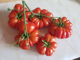 Red Santorini Tomato flower seeds for planting - Heirloom & Non-GMO Garden Seeds