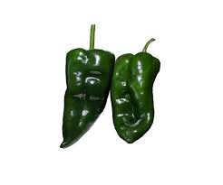 Green Ancho Poblano Seeds for Planting – Heirloom, Non-GMO, High Germination Organic Garden Seeds