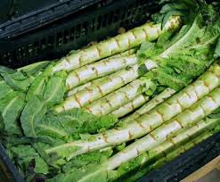 Asparagus Lettuce Seeds for Planting – Heirloom, Non-GMO, Organic Garden Seeds, High Germination, Rare Crunchy Salad Greens