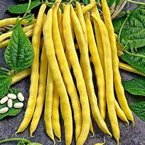 Vegetable Seeds,Garden seeds, Seeds For Planting,Plant Seeds