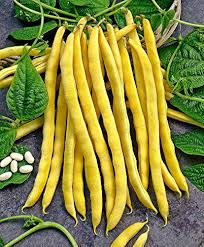 Vegetable Seeds,Garden seeds, Seeds For Planting,Plant Seeds