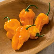 Orange Numex Suave flower seeds for planting - Heirloom & Non-GMO Garden Seeds