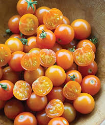 Big Orange Tomato Seeds for Planting - Heirloom, Non-GMO, Organic Garden Seeds for Vibrant Summer Harvests
