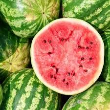 Sweet Watermelon fruit seeds for planting - Heirloom & Non-GMO Garden seeds