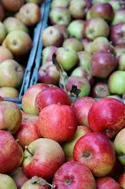 Braeburn Apple Seeds for Planting – Heirloom Non-GMO Fruit Seeds