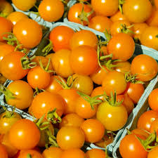 Big Orange Tomato Seeds for Planting - Heirloom, Non-GMO, Organic Garden Seeds for Vibrant Summer Harvests
