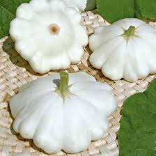 Squash Patisson White Seeds for Planting – Heirloom Non-GMO, High Germination Organic Garden Seeds