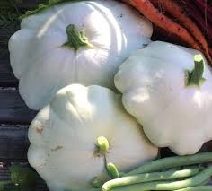 Squash Patisson White Seeds for Planting – Heirloom Non-GMO, High Germination Organic Garden Seeds