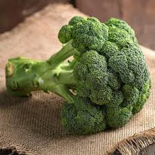 Broccoli Seeds for Planting – Heirloom, Non-GMO, Organic Garden Seeds, High Germination, Nutrient-Rich for Kitchen Gardens