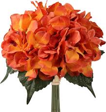 Hydrangea Orange Flower Seeds for Planting – Heirloom, Non-GMO, Wildflower Mix, High Germination