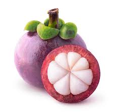 Mangosteen Purple Fruit Seeds – Tropical Non-GMO Heirloom Seeds for Garden Planting