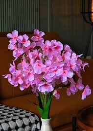 Fuchsia Dames Rocket Flower Seeds for Planting – Heirloom, Non-GMO, High Germination Organic Garden Seeds