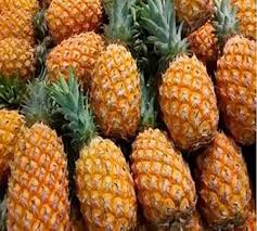 Orange Pineapple fruit seeds for planting - Heirloom & Non-GMO Garden seeds