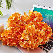Hydrangea Orange Flower Seeds for Planting – Heirloom, Non-GMO, Wildflower Mix, High Germination