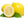 Yellow Lemon Fruit Seeds – Low-Acid, Refreshing Citrus, Heirloom & Non-GMO Seeds