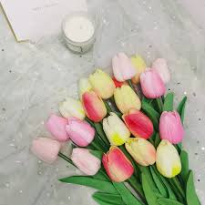Yellow & Pink F Tulip Flower Seeds for Planting – Heirloom, Non-GMO, High Germination Organic Garden Seeds