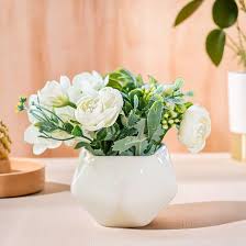 White Flower Pot Flower Seeds for Planting – Heirloom, Non-GMO, Long Bloom Season Organic Garden Seeds