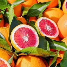 blood orange seed planting Blood Orange Fruit Seeds for Planting – Heirloom, Non-GMO Citrus Garde – Earthechoseeds